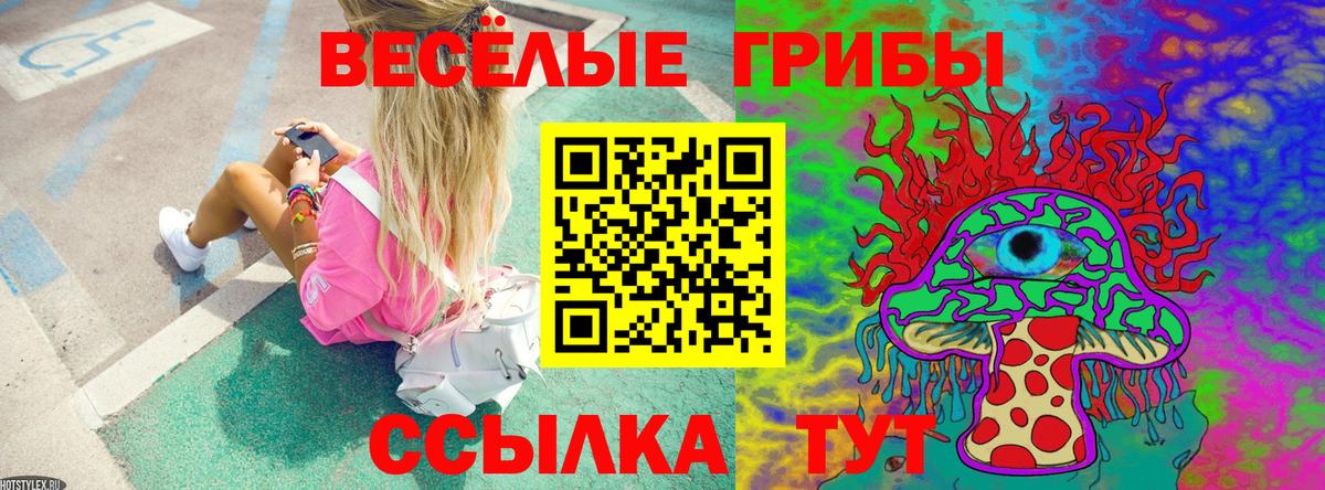 Ярославль  Псилоцибиновые грибы Cubensis  Псилоцибиновые грибы Psilocybe  Вход с VPN 